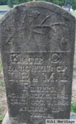 Katie Camilla Fluitt