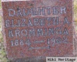 Elizabeth A Kromminga