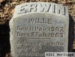 Erwin Wille