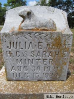 Julia E Minter