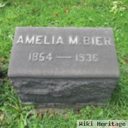 Amelia M Bier