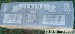 James W Elkins