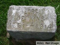 George W Jenkins