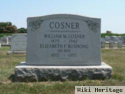 Elizabeth F "lizzie" Bushong Cosner