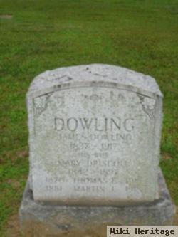 Martin J Dowling