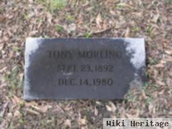 Tony Morlino