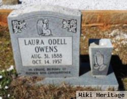 Laura Odell Owens