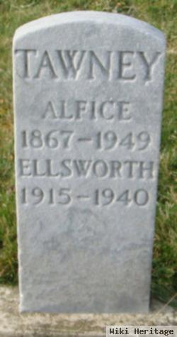 Alfice Laurence Tawney