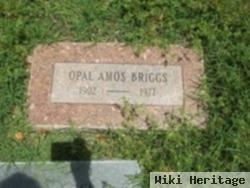 Opal Amos Briggs