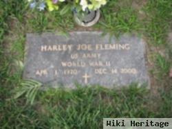 Harley Joe Fleming