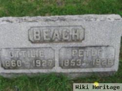 Peter Beach