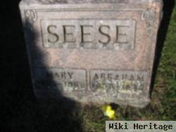 Mary Hunsberger Seese