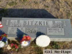 Irving M. Bitzkie