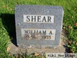 William A Shear