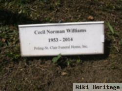 Cecil Norman Williams