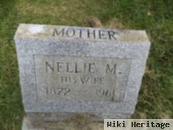 Nellie M. Robinson Matteson