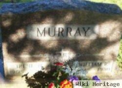 Irene N Murray