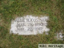 Sallie Ann Hullender Costner