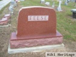 Mary Ann Gleason Feese