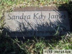 Sandra Kay James