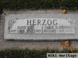 Carol D Johnson Herzog