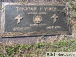 Tavoras J. Vines