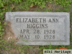 Elizabeth Ann Higgins