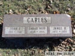 Sarah Ella Neff Carles