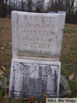 Sarah Harrison Reed