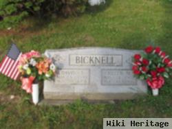 David Bicknell