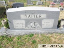 Calloway Napier