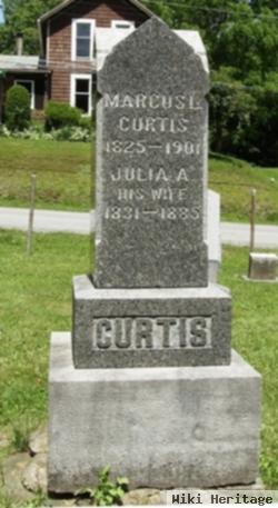 Julia A. Warren Curtis