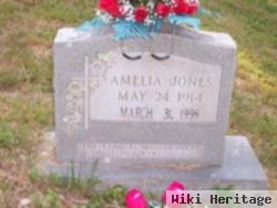 Amelia Jones