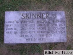 Mary D. Fleming Skinner