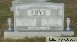 Christine Brooke Dellinger Frye