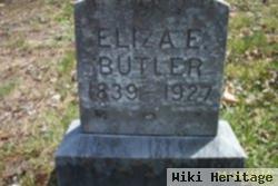 Eliza Ellen Farnsworth Butler