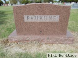 Jose J Paukune