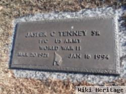 Jasper Curtlin Tenney