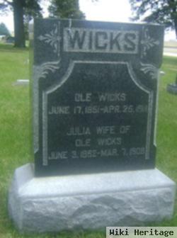 Ole Wicks