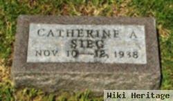 Catherine A. Sieg