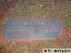 Peter J. Nelson