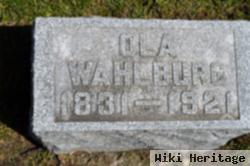 Ole Walberg