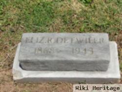 Sarah Elizabeth "lizzie" Rigg Detwiler