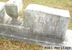 Mary Elizabeth ""mollie"" Morris Hooper