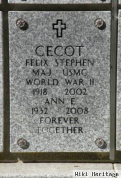 Ann E Cecot