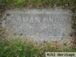 Herman Knorr