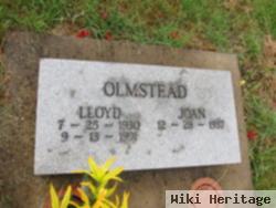 Lloyd Olmstead