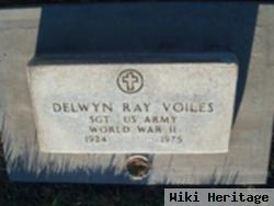 Delwyn Ray Voiles