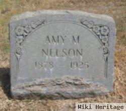 Amy M. Nelson