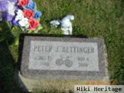 Peter J Bettinger